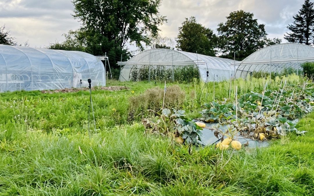 « Compte Goutte » Épisode 1